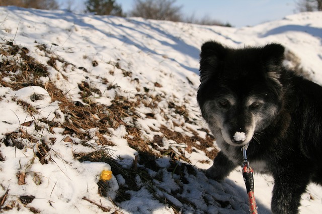 ファイル 166-3.jpg