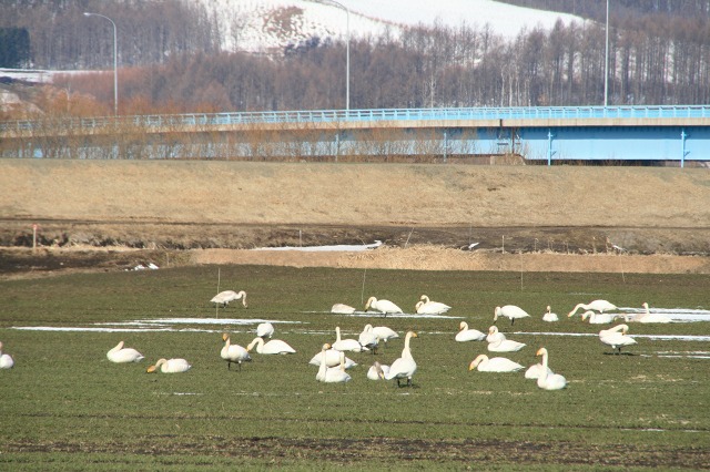 ファイル 167-1.jpg