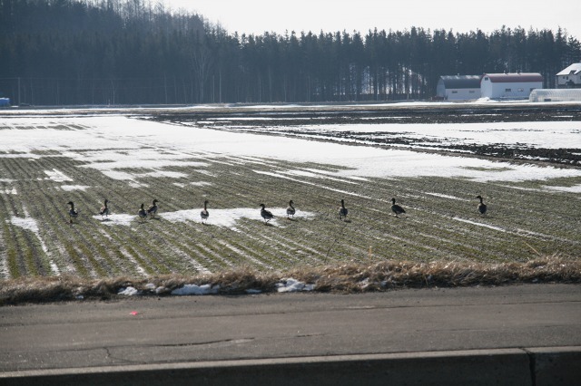 ファイル 167-2.jpg