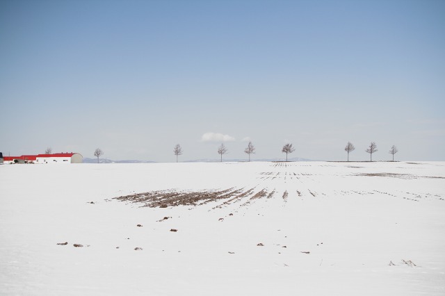 ファイル 167-3.jpg