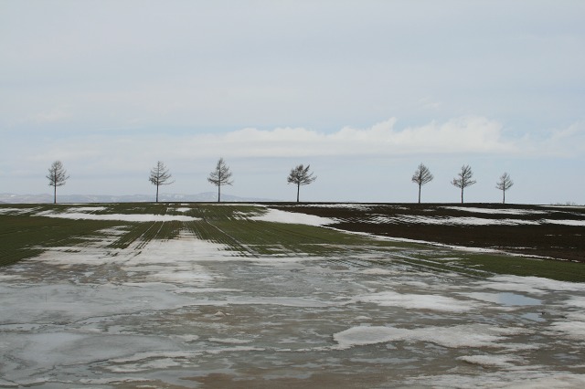 ファイル 169-1.jpg