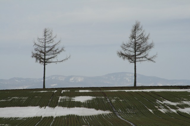 ファイル 169-2.jpg