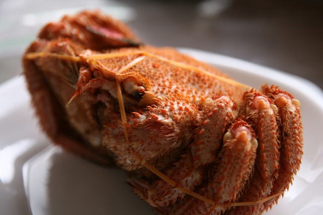 ファイル 170-2.jpg