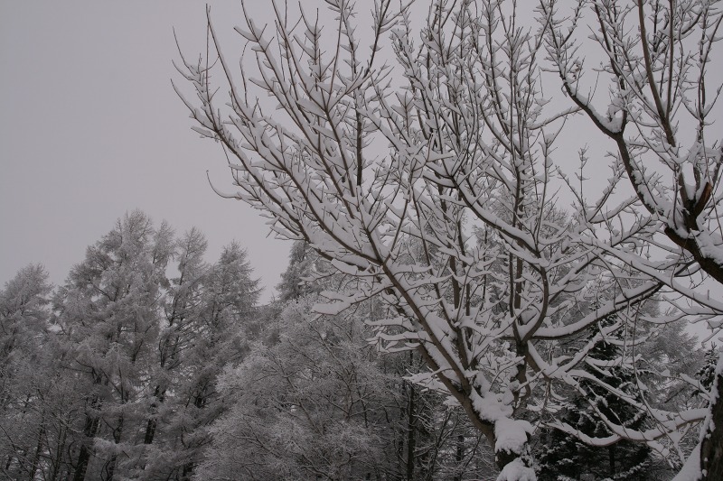 ファイル 173-1.jpg