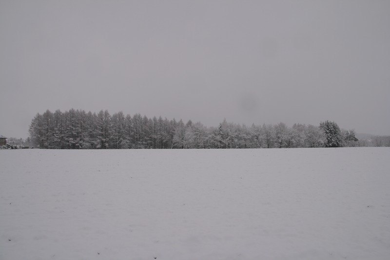 ファイル 173-2.jpg