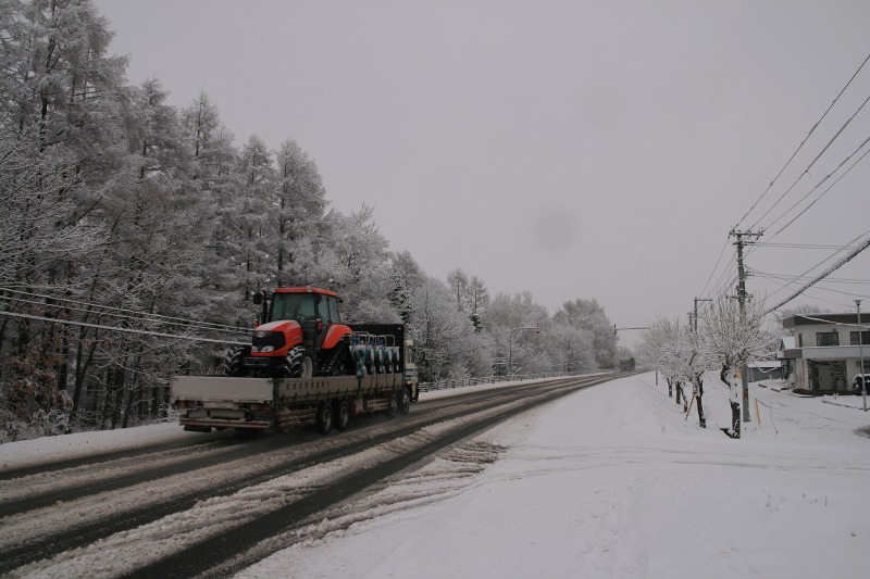 ファイル 173-3.jpg