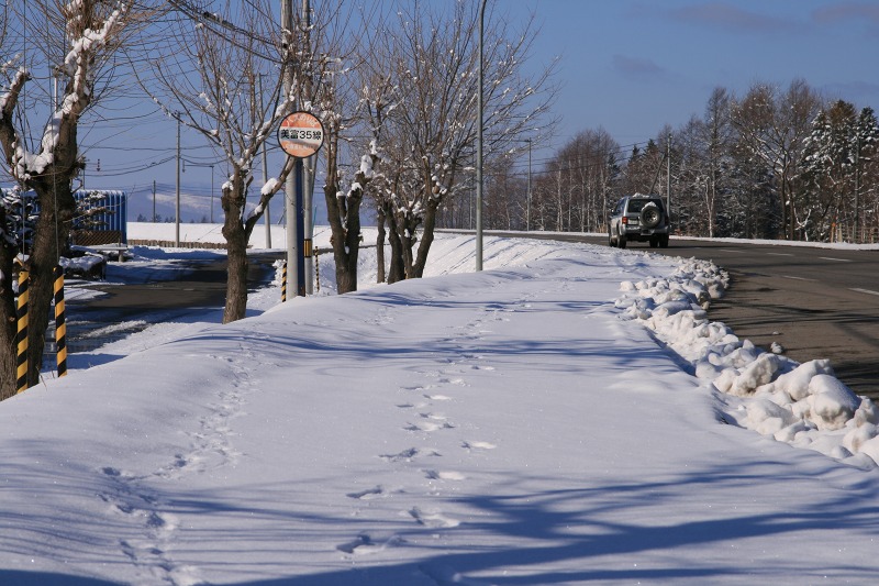 ファイル 174-1.jpg