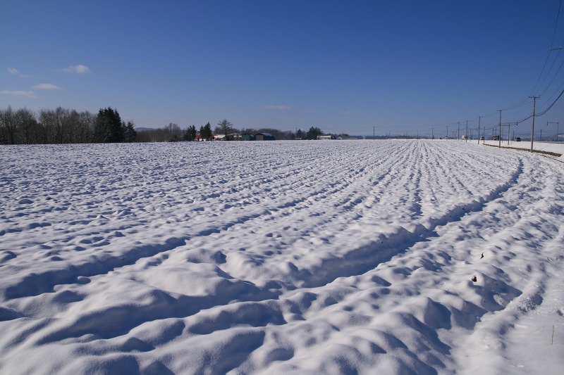 ファイル 174-2.jpg