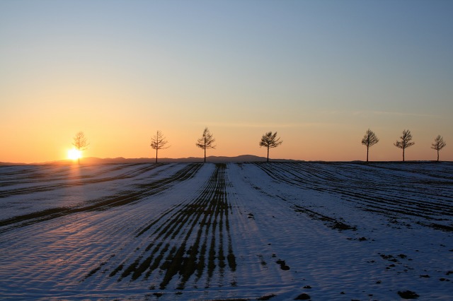 ファイル 175-1.jpg