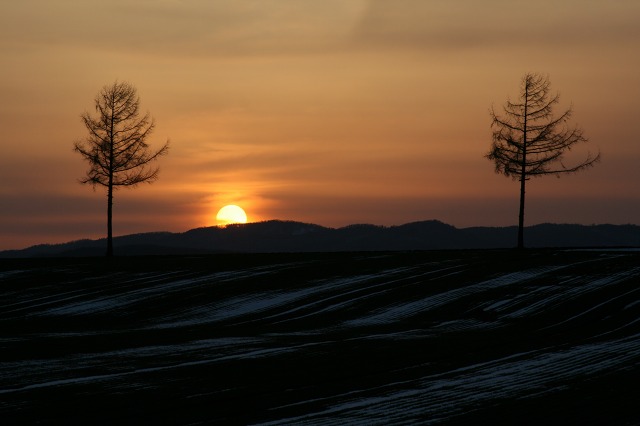 ファイル 175-2.jpg