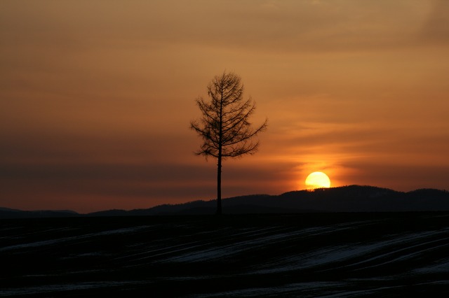 ファイル 175-3.jpg