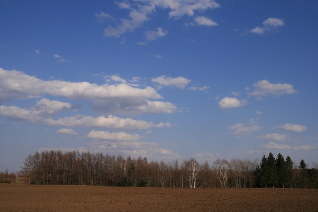 ファイル 177-3.jpg