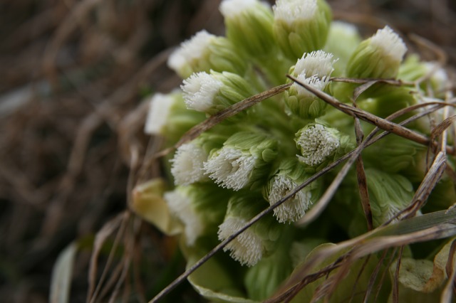 ファイル 178-3.jpg