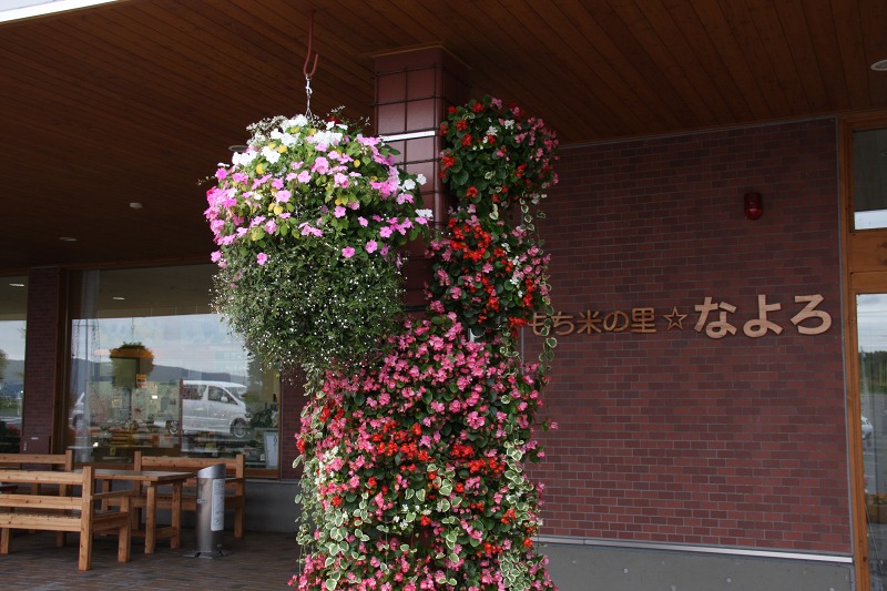 ファイル 18-1.jpg