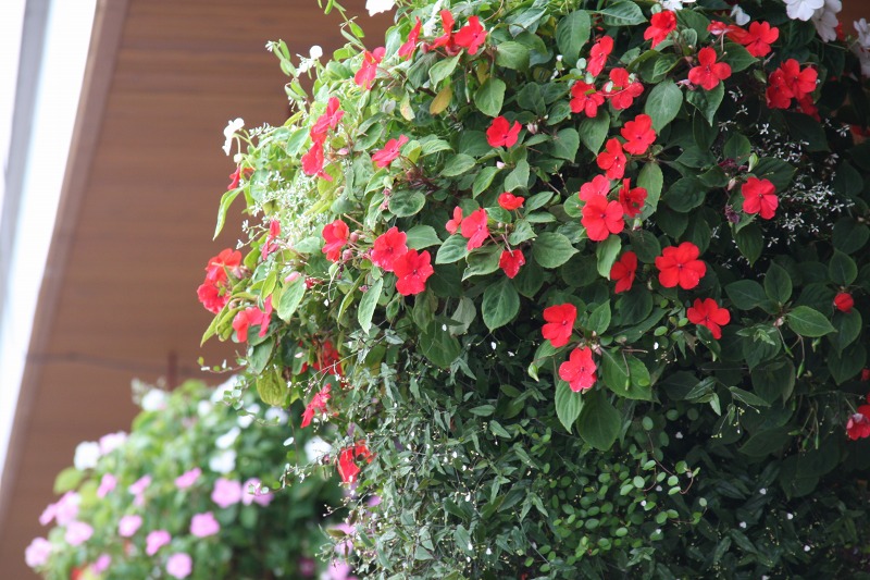 ファイル 18-2.jpg