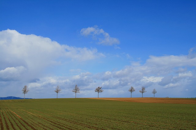 ファイル 180-1.jpg