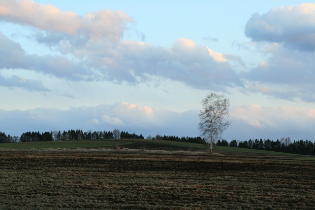 ファイル 180-3.jpg