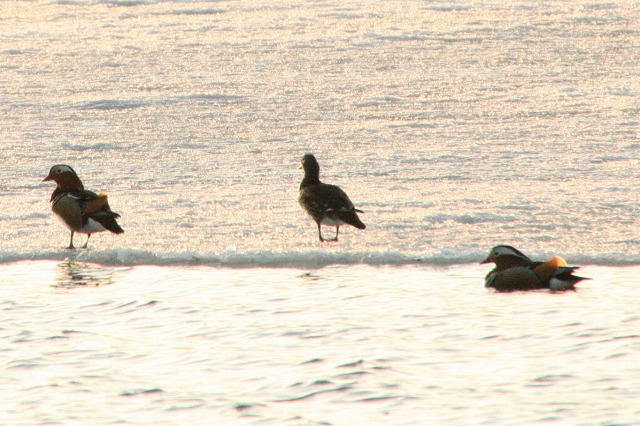 ファイル 187-2.jpg