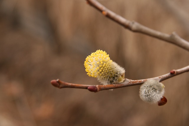 ファイル 188-2.jpg