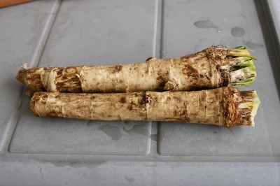 ファイル 189-1.jpg