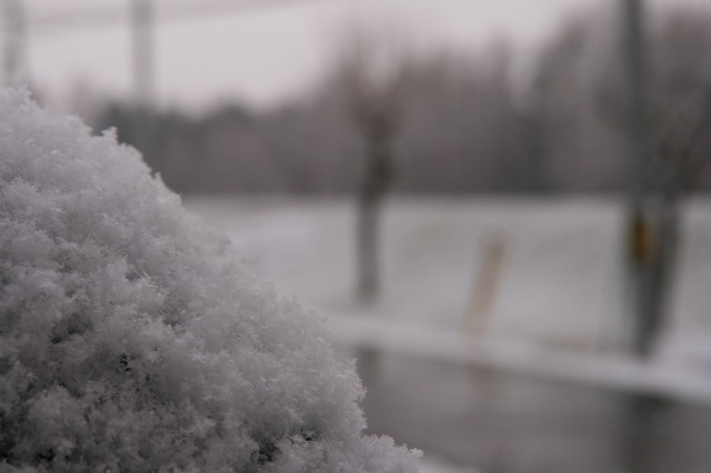 ファイル 190-1.jpg