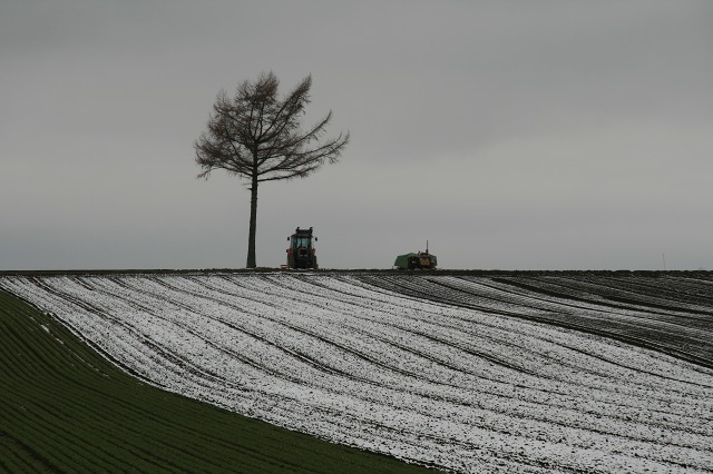 ファイル 190-2.jpg