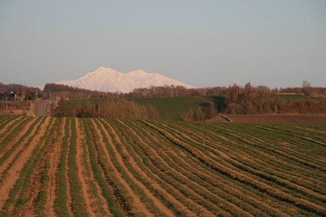 ファイル 190-3.jpg