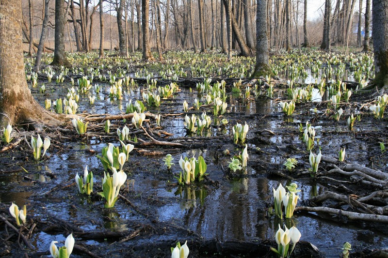 ファイル 191-3.jpg