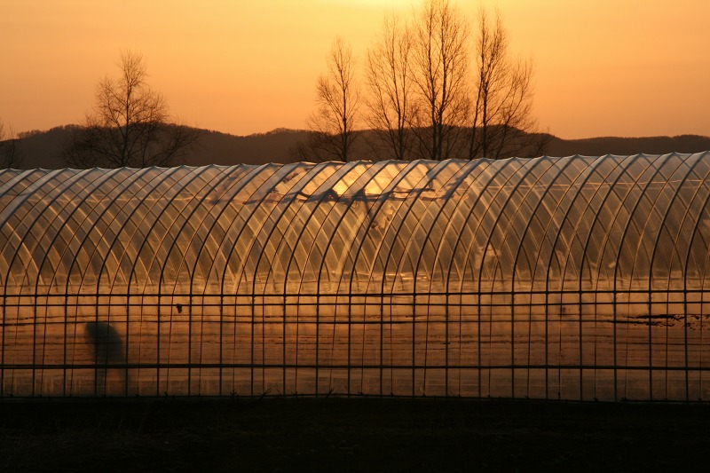 ファイル 191-4.jpg