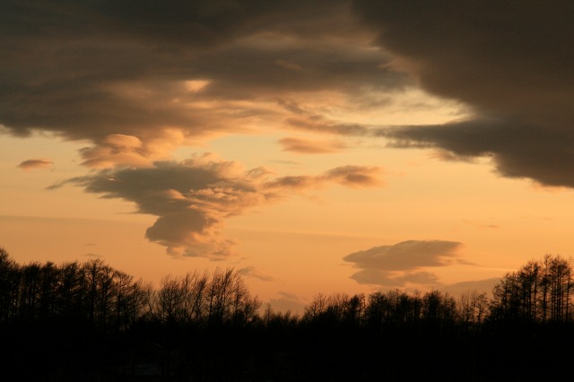 ファイル 192-2.jpg