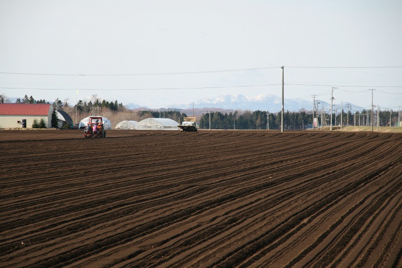 ファイル 194-1.jpg