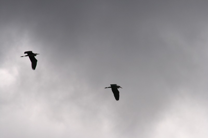 ファイル 195-1.jpg