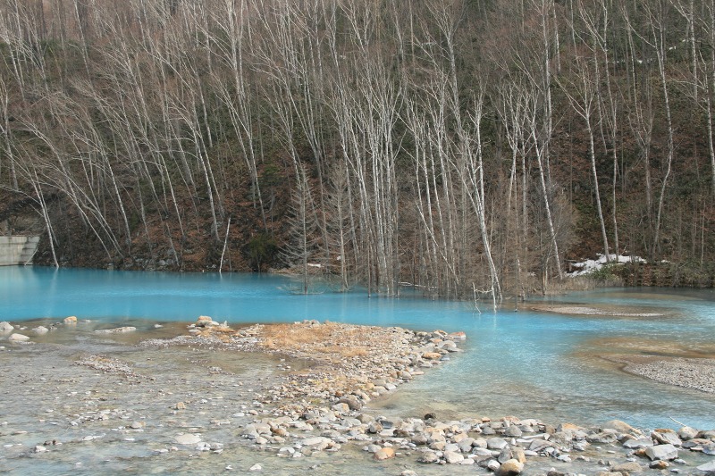 ファイル 196-1.jpg