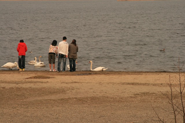 ファイル 197-3.jpg