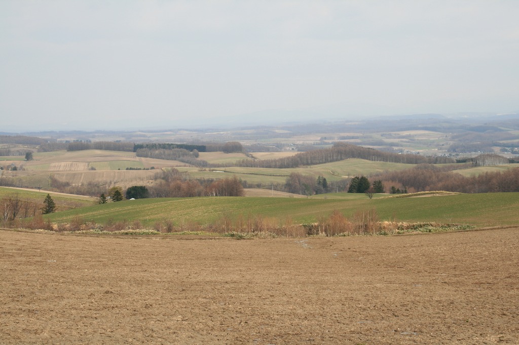 ファイル 199-3.jpg