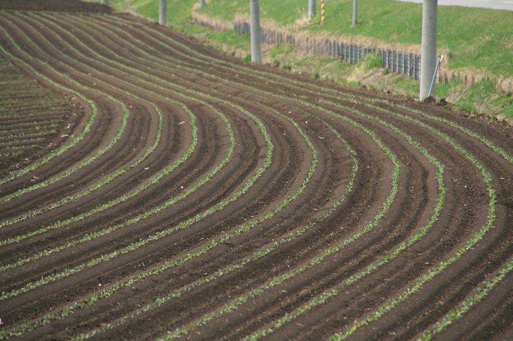 ファイル 200-1.jpg