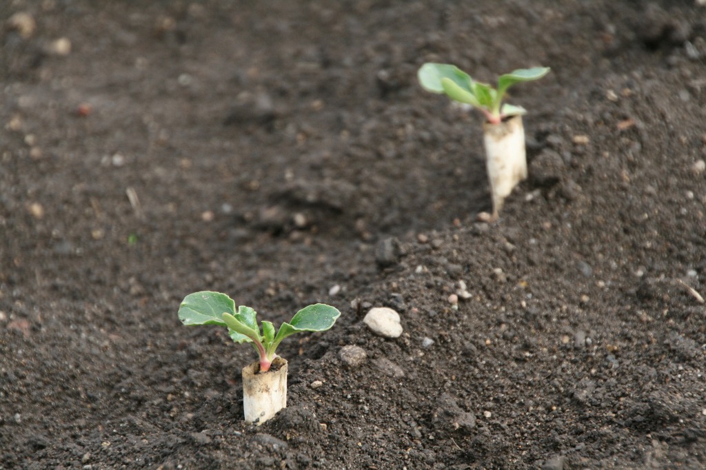 ファイル 200-2.jpg