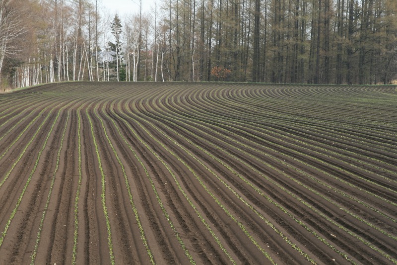 ファイル 200-3.jpg