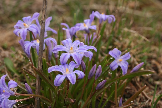 ファイル 201-2.jpg