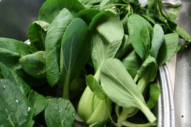 ファイル 201-4.jpg