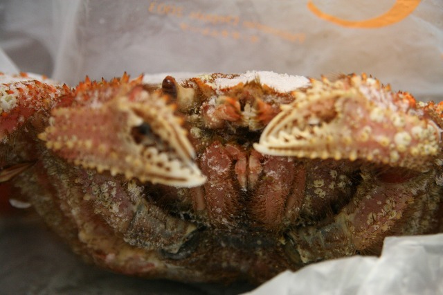 ファイル 201-5.jpg