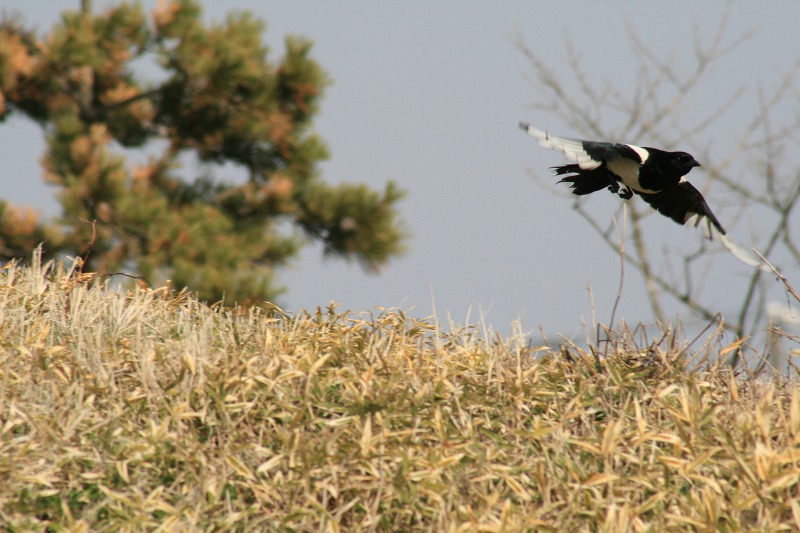 ファイル 202-2.jpg