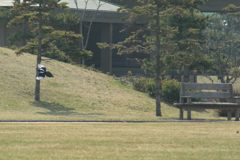 ファイル 202-3.jpg