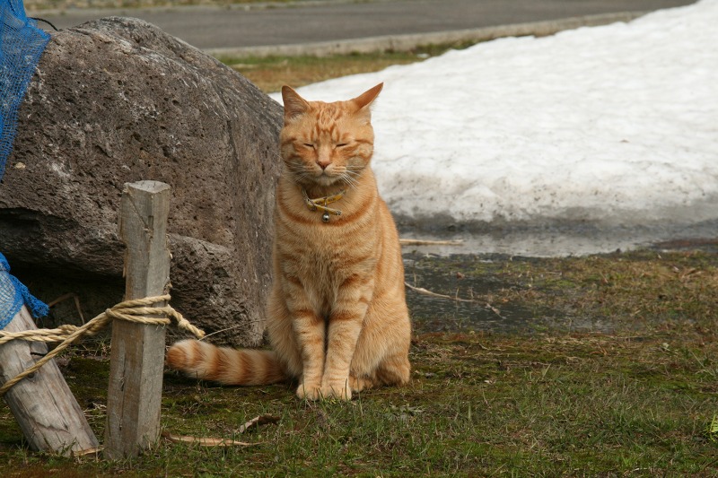 ファイル 203-2.jpg