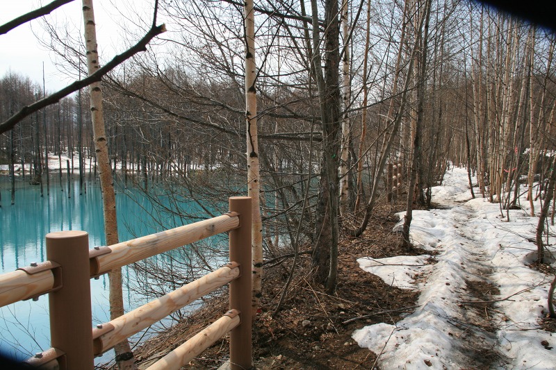 ファイル 204-1.jpg