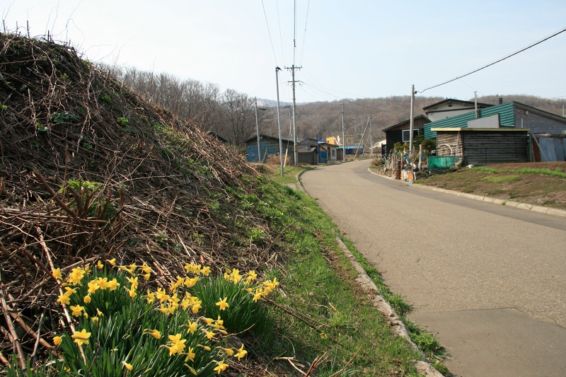 ファイル 205-1.jpg