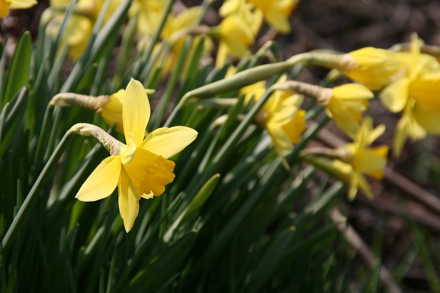 ファイル 205-2.jpg