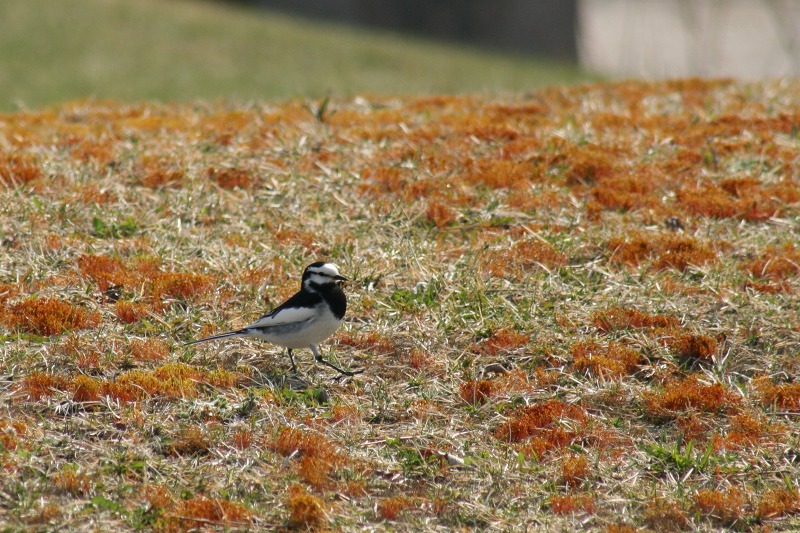 ファイル 206-3.jpg