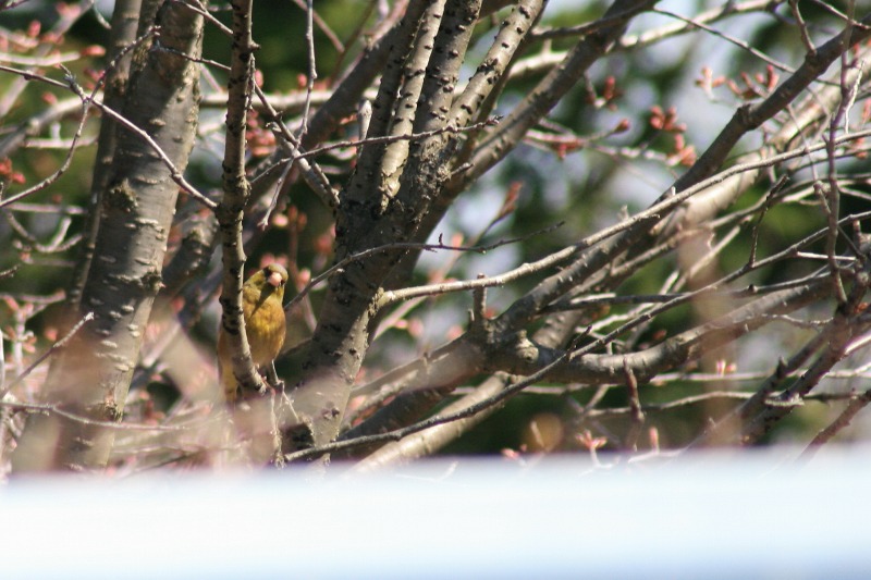 ファイル 207-1.jpg