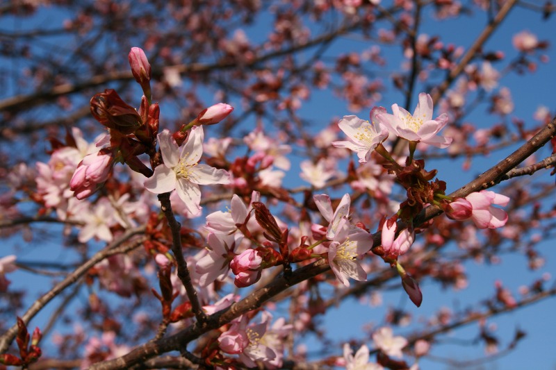 ファイル 207-5.jpg